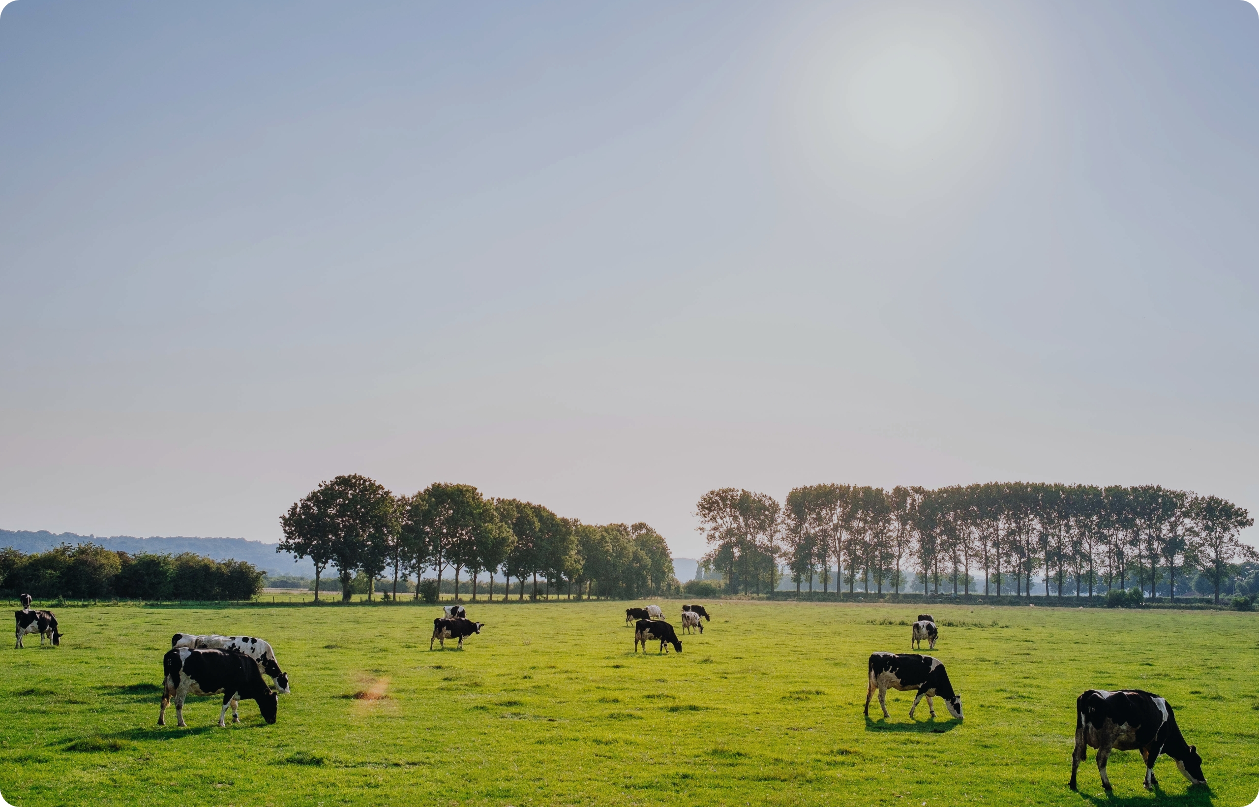 Photo Prairie